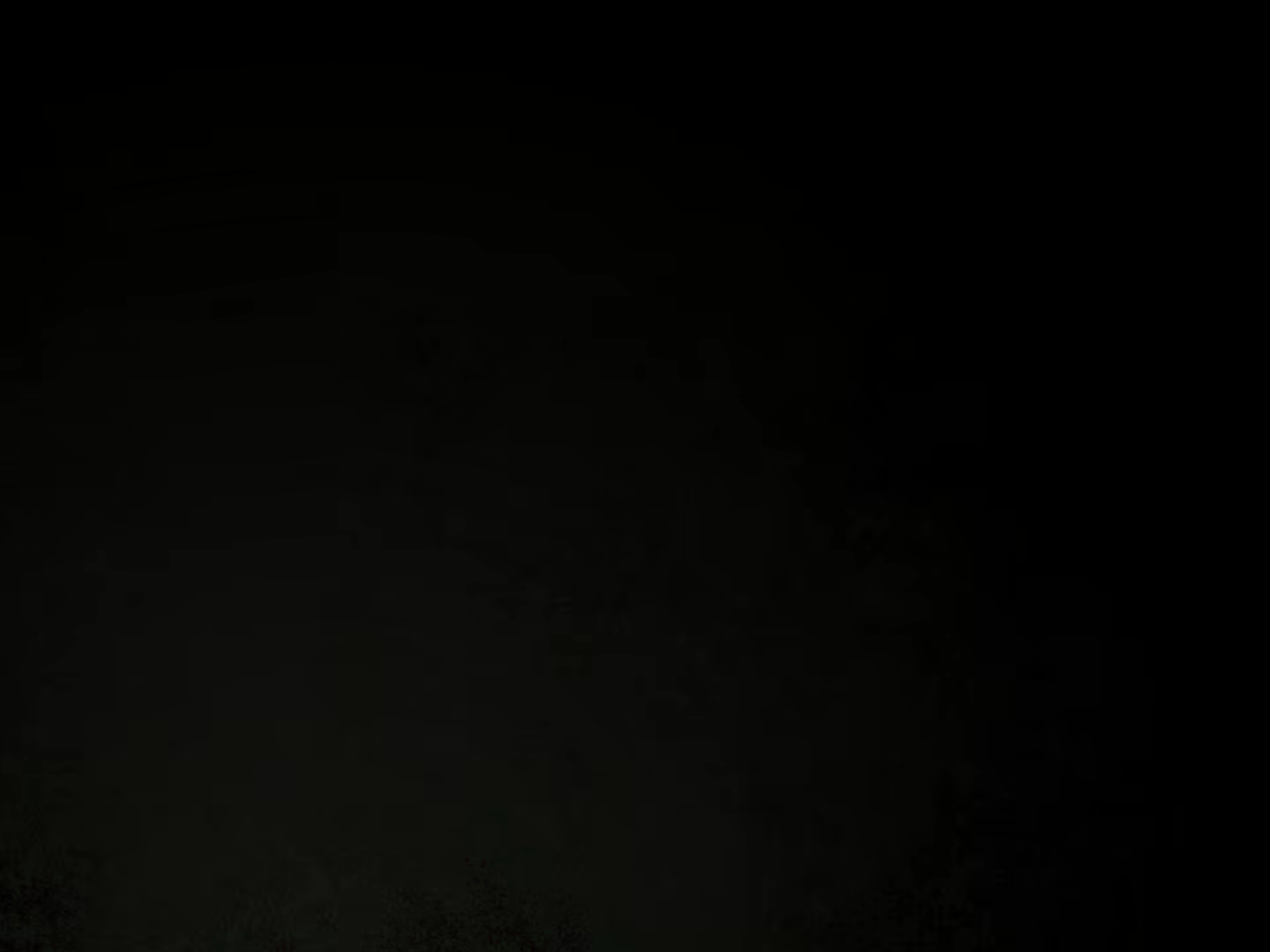 Content 901635 - 15 페이지
