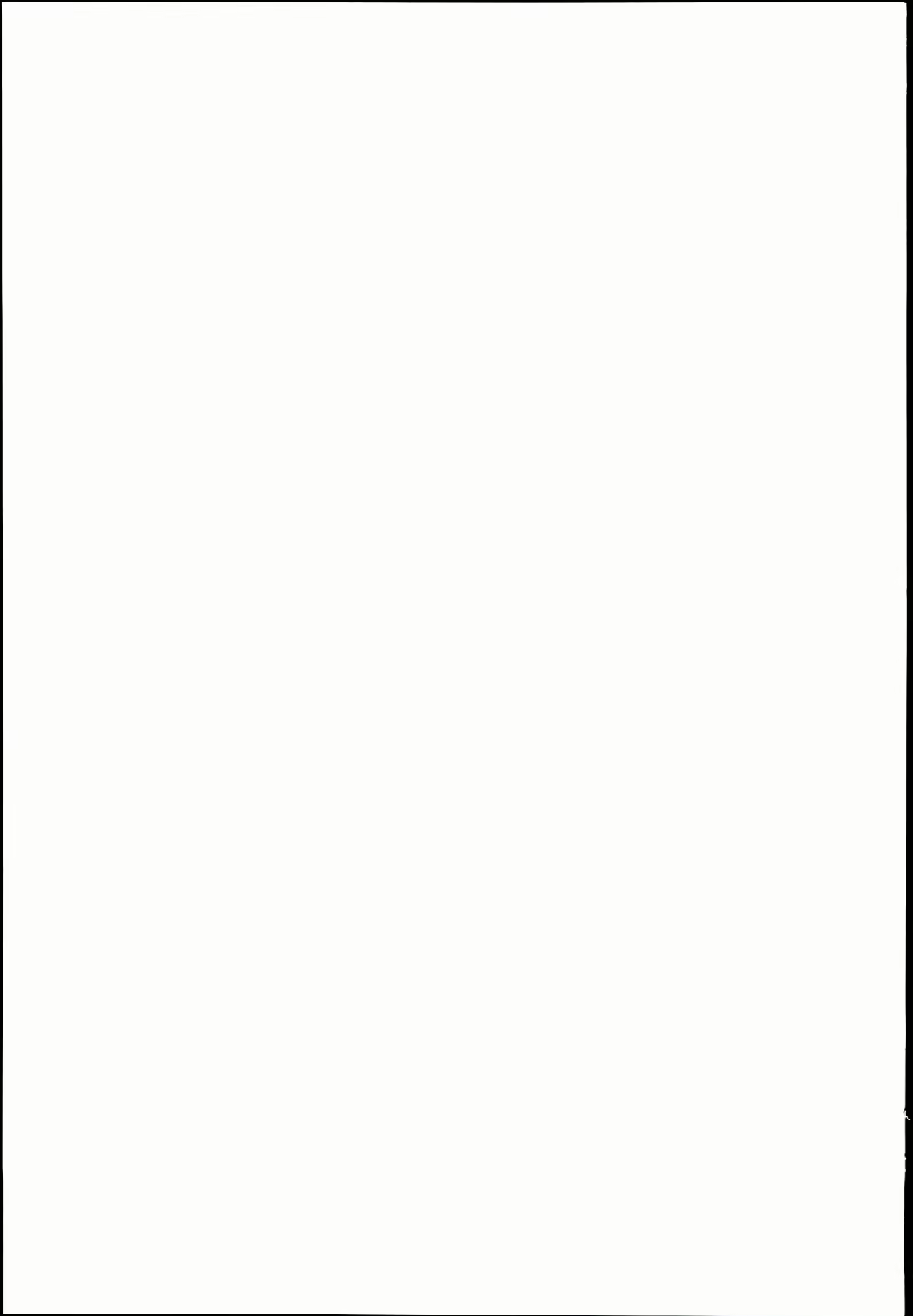 Content 905241 - 20 페이지