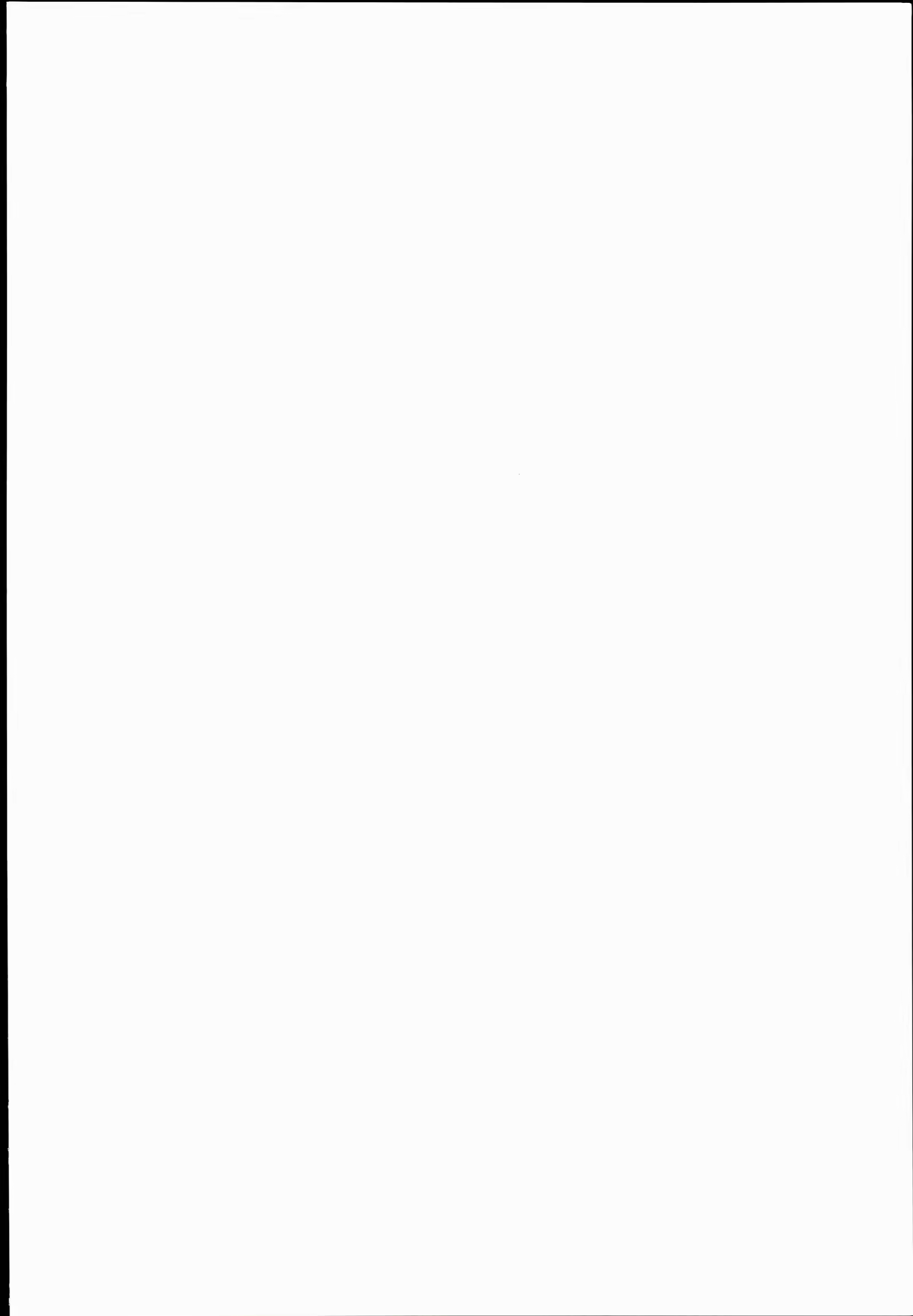Content 905241 - 3 페이지