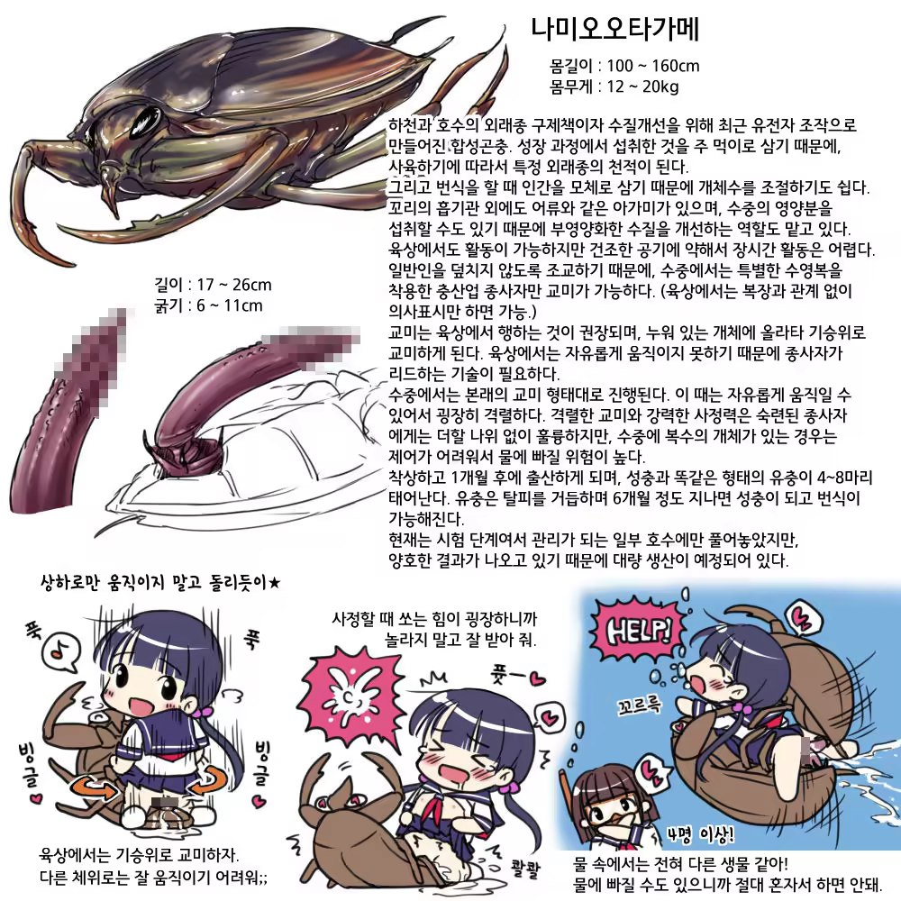 Content 905919 - 14 페이지