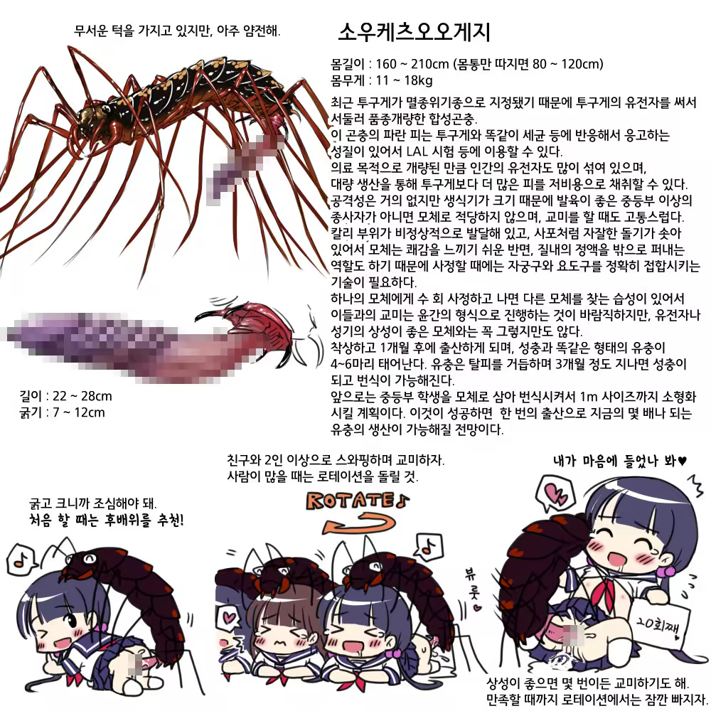 Content 905919 - 15 페이지