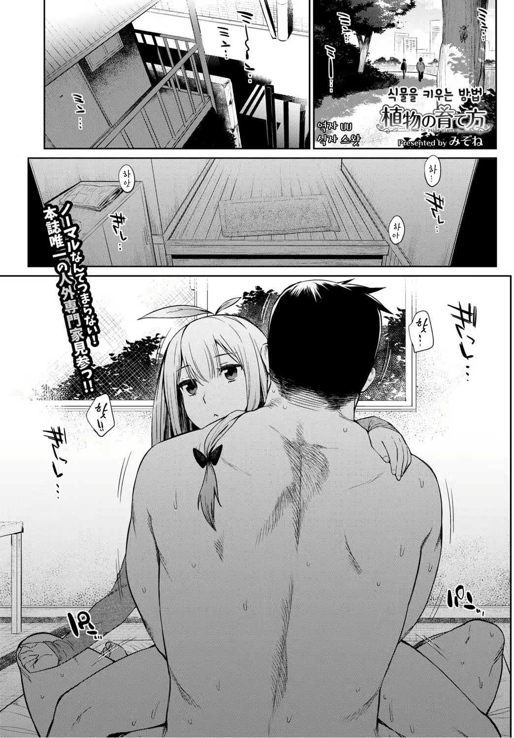 Content 917790 - 1 페이지