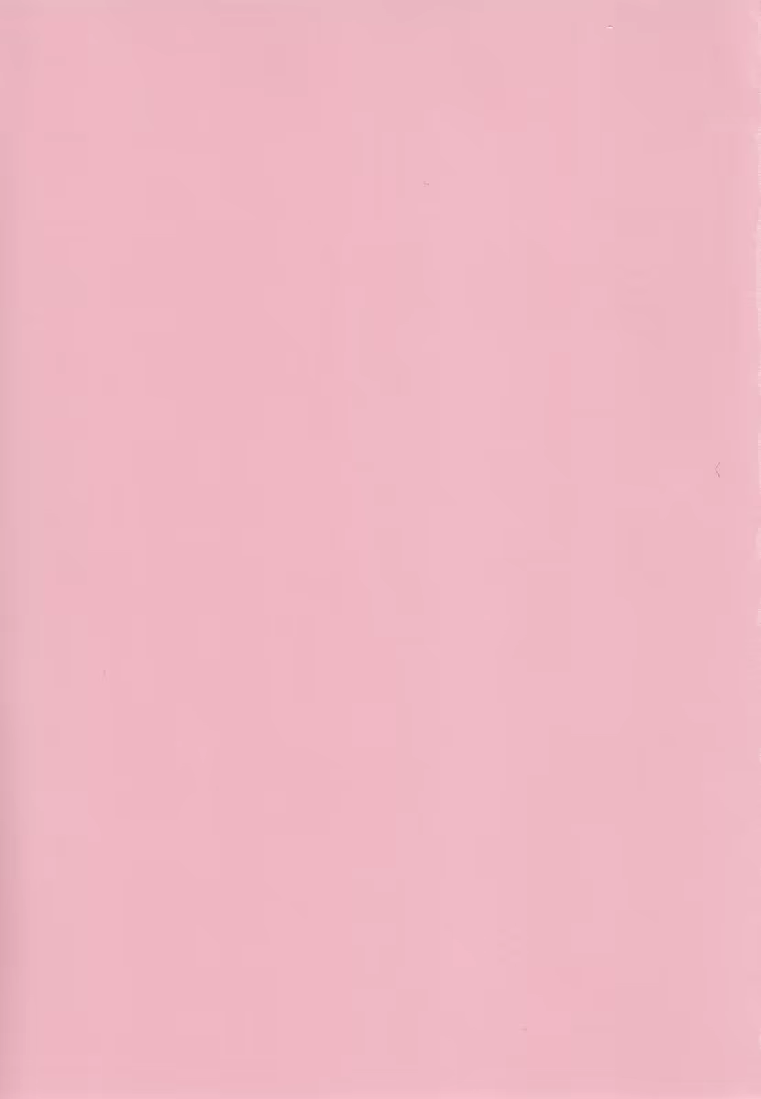 Content 919319 - 3 페이지