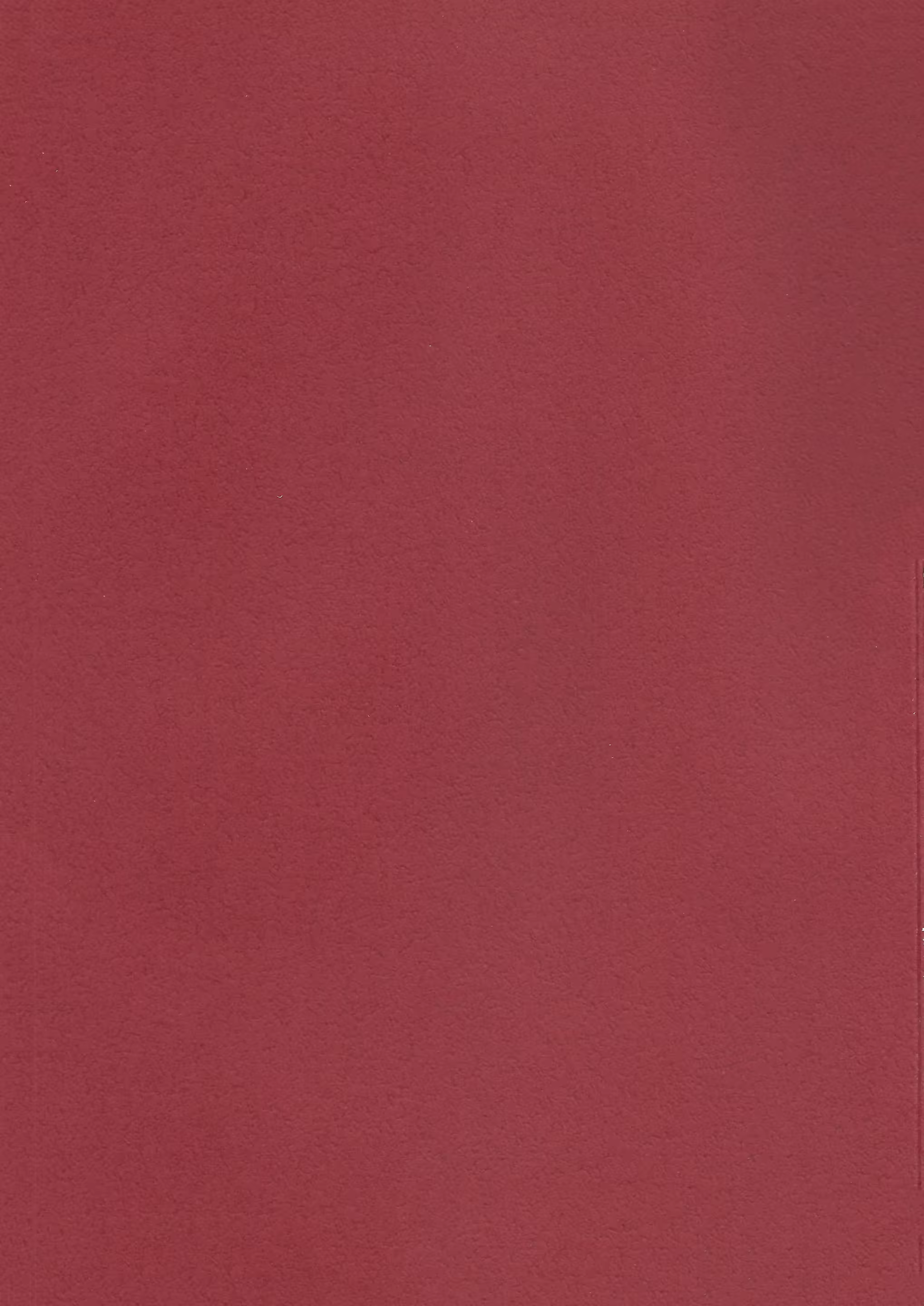 Content 920941 - 5 페이지