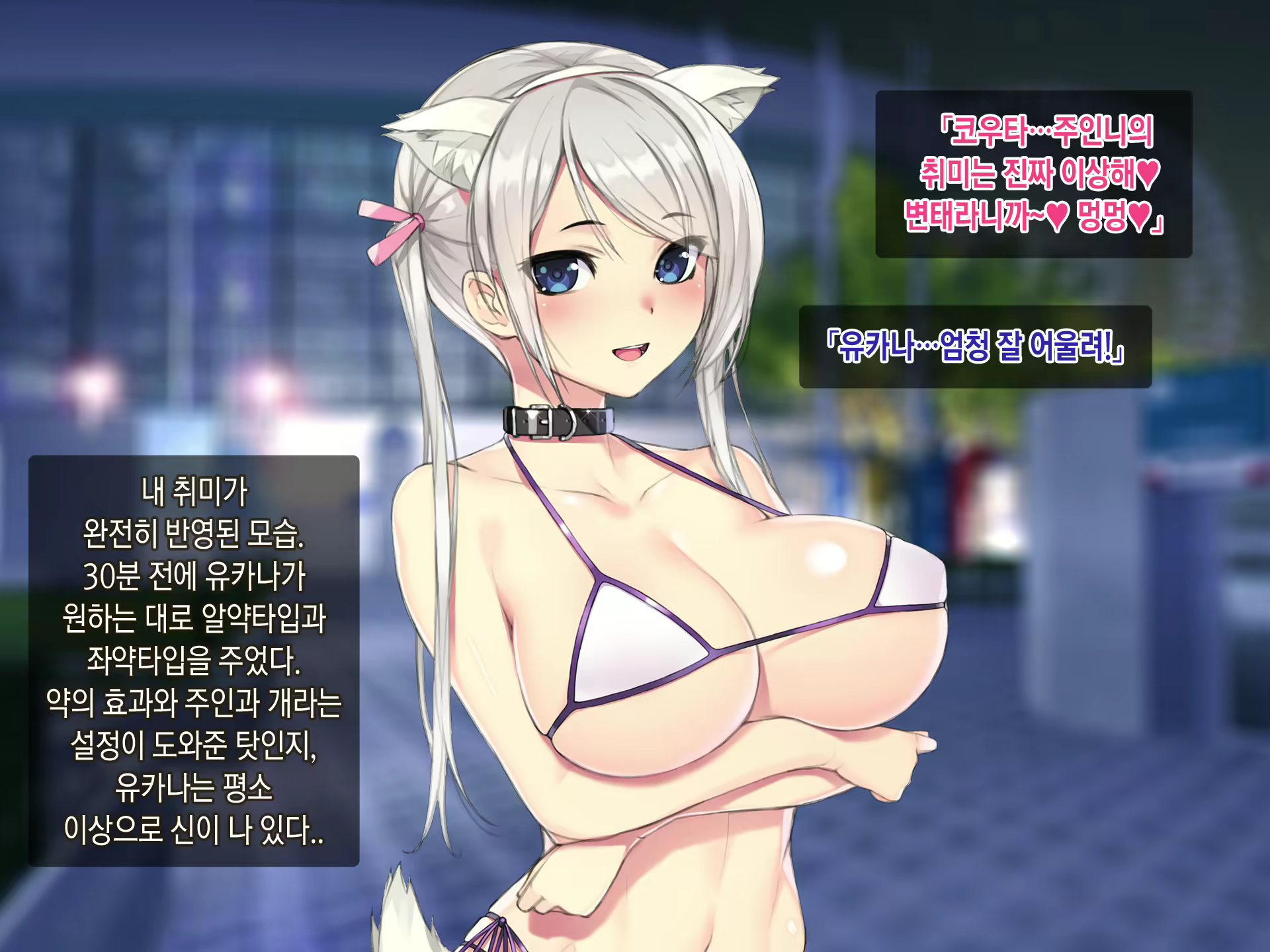 Content 923009 - 160 페이지