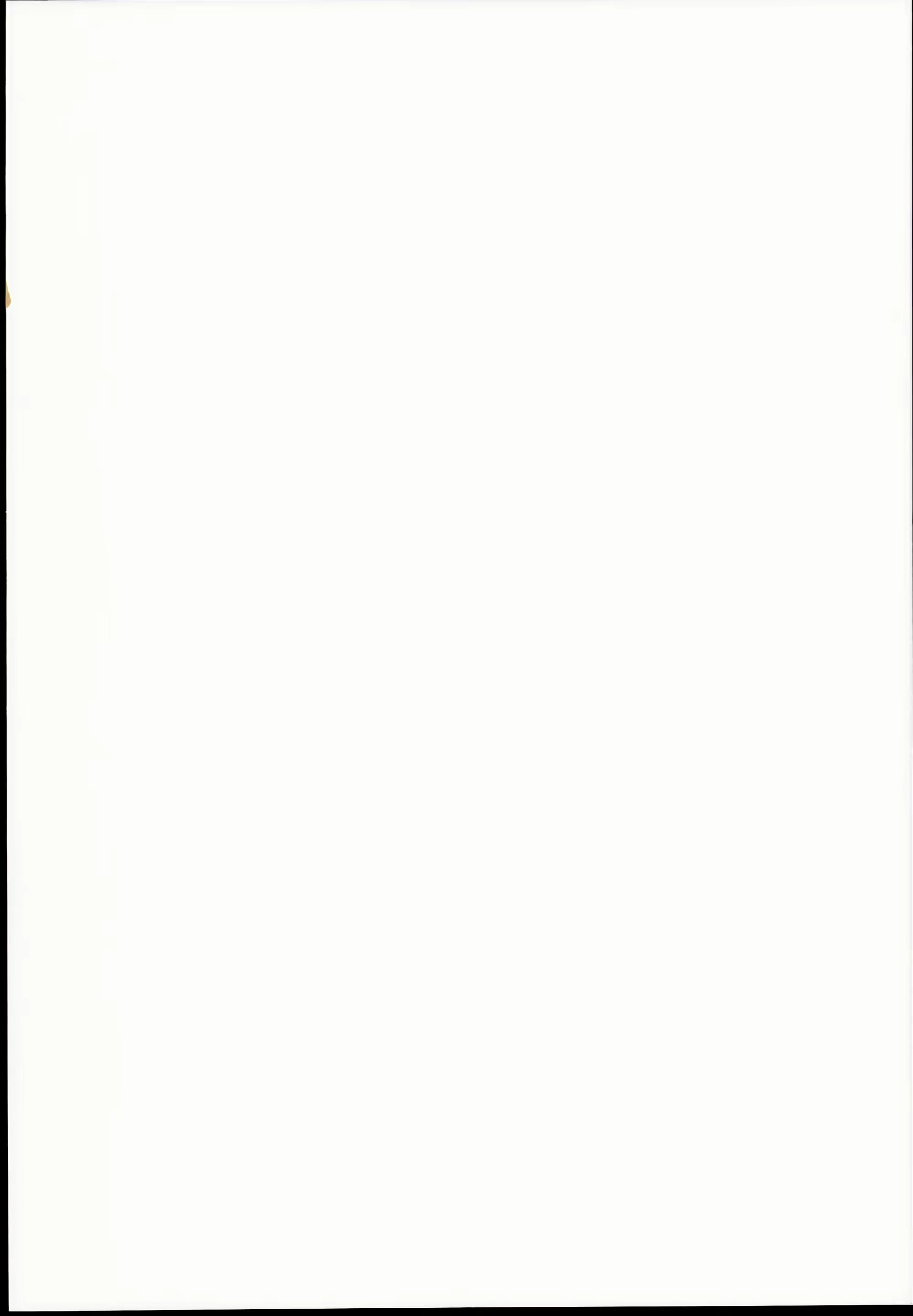 Content 923401 - 3 페이지