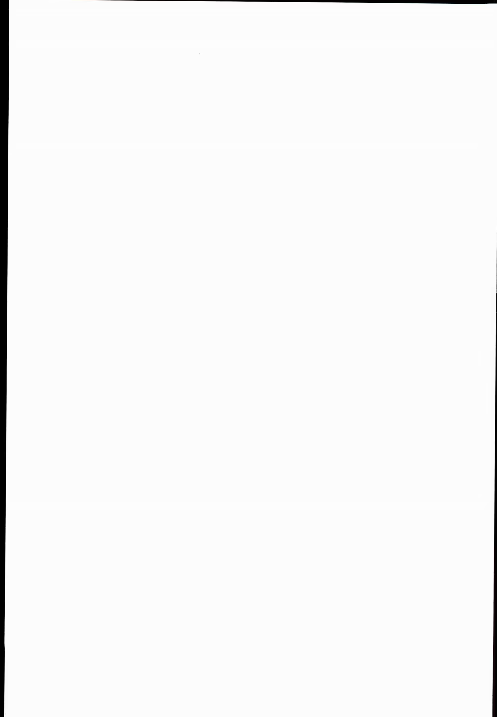 Content 926278 - 31 페이지