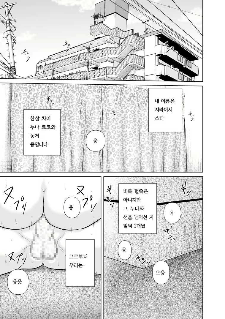 Content 927410 - 3 페이지