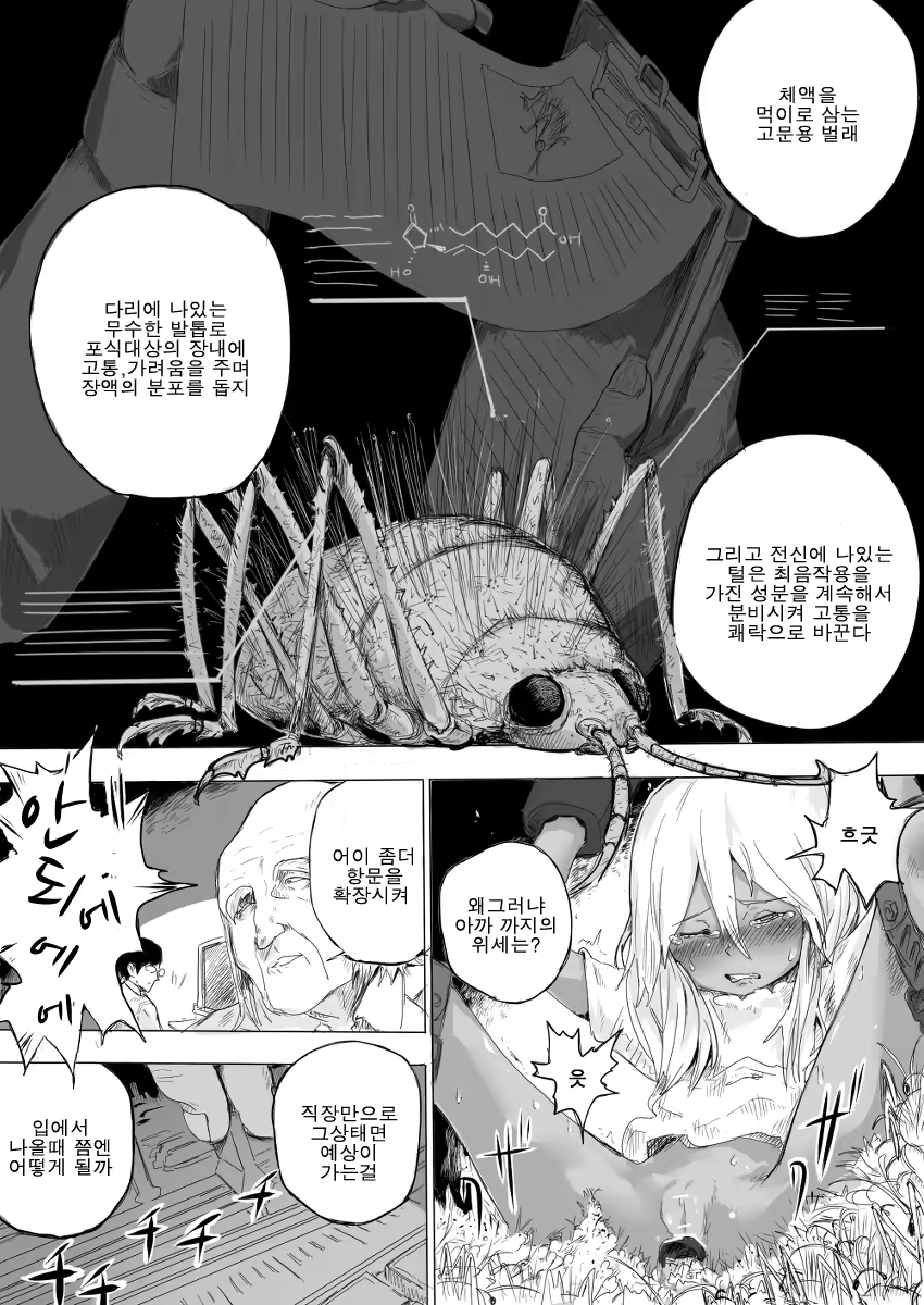 Content 938879 - 12 페이지