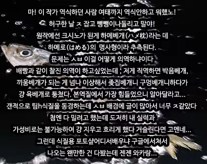 Content 940745 - 33 페이지
