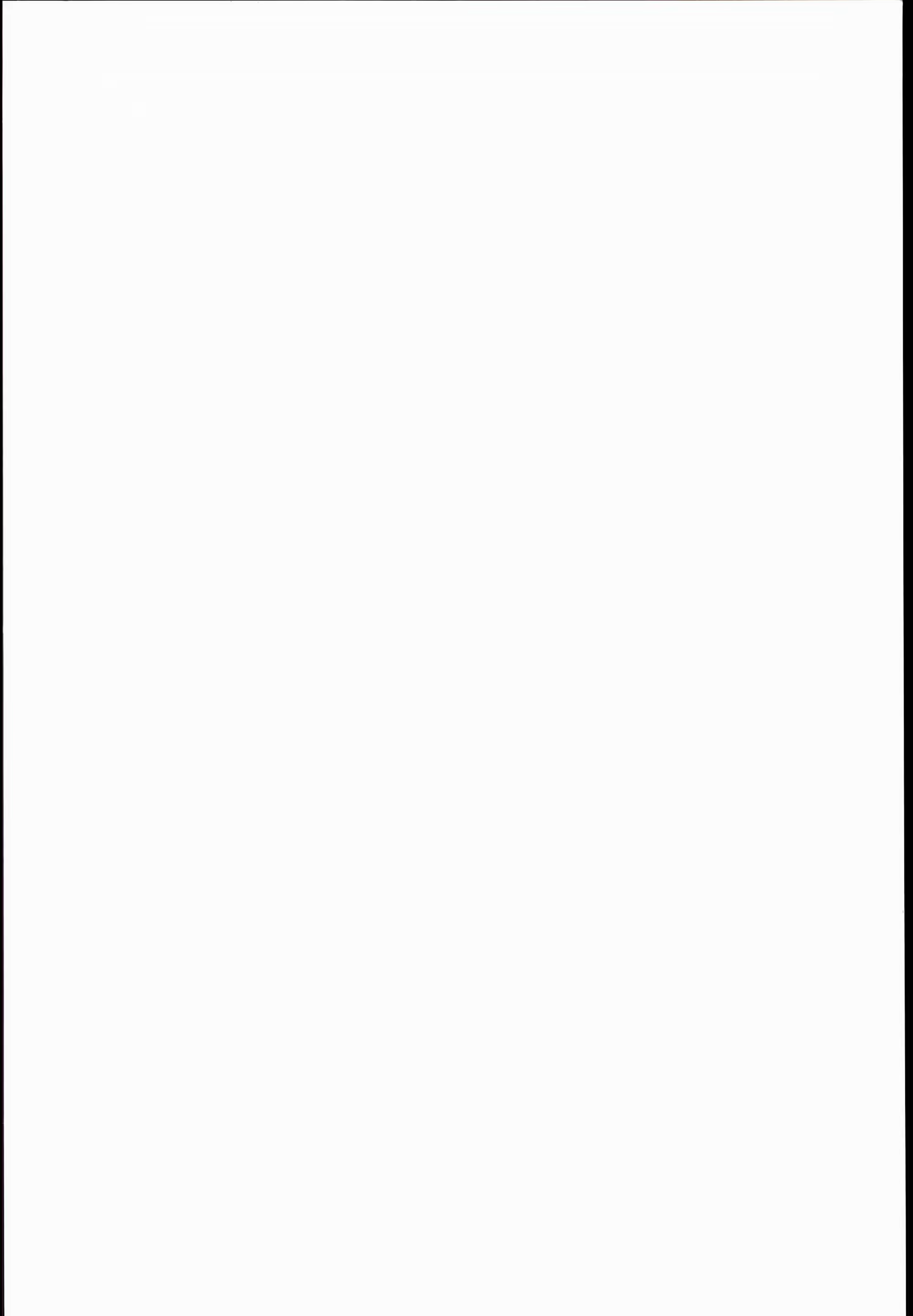 Content 947287 - 2 페이지