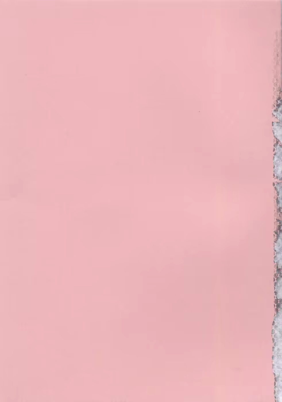 Content 952896 - 200 페이지
