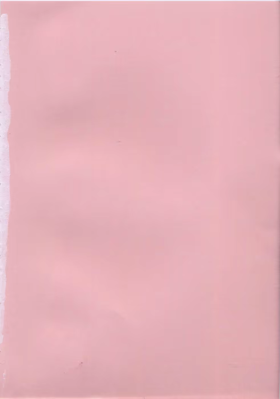 Content 952896 - 4 페이지