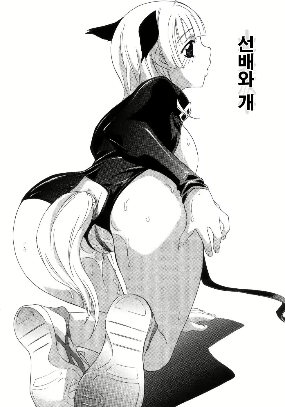 Content 952896 - 41 페이지