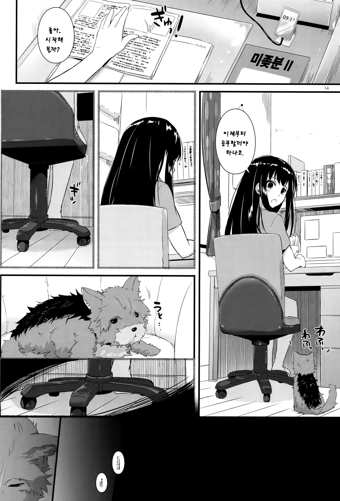 Content 952901 - 14 페이지