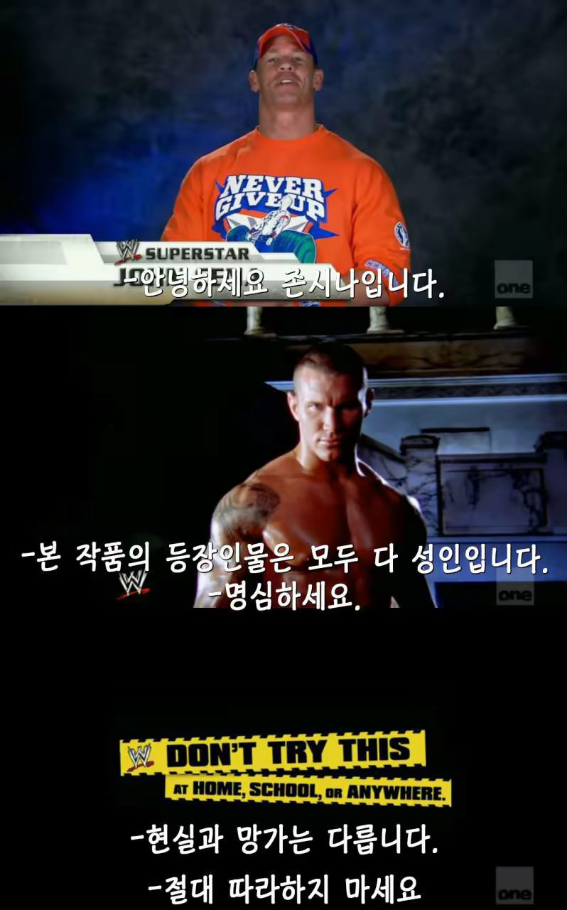 Content 957317 - 3 페이지
