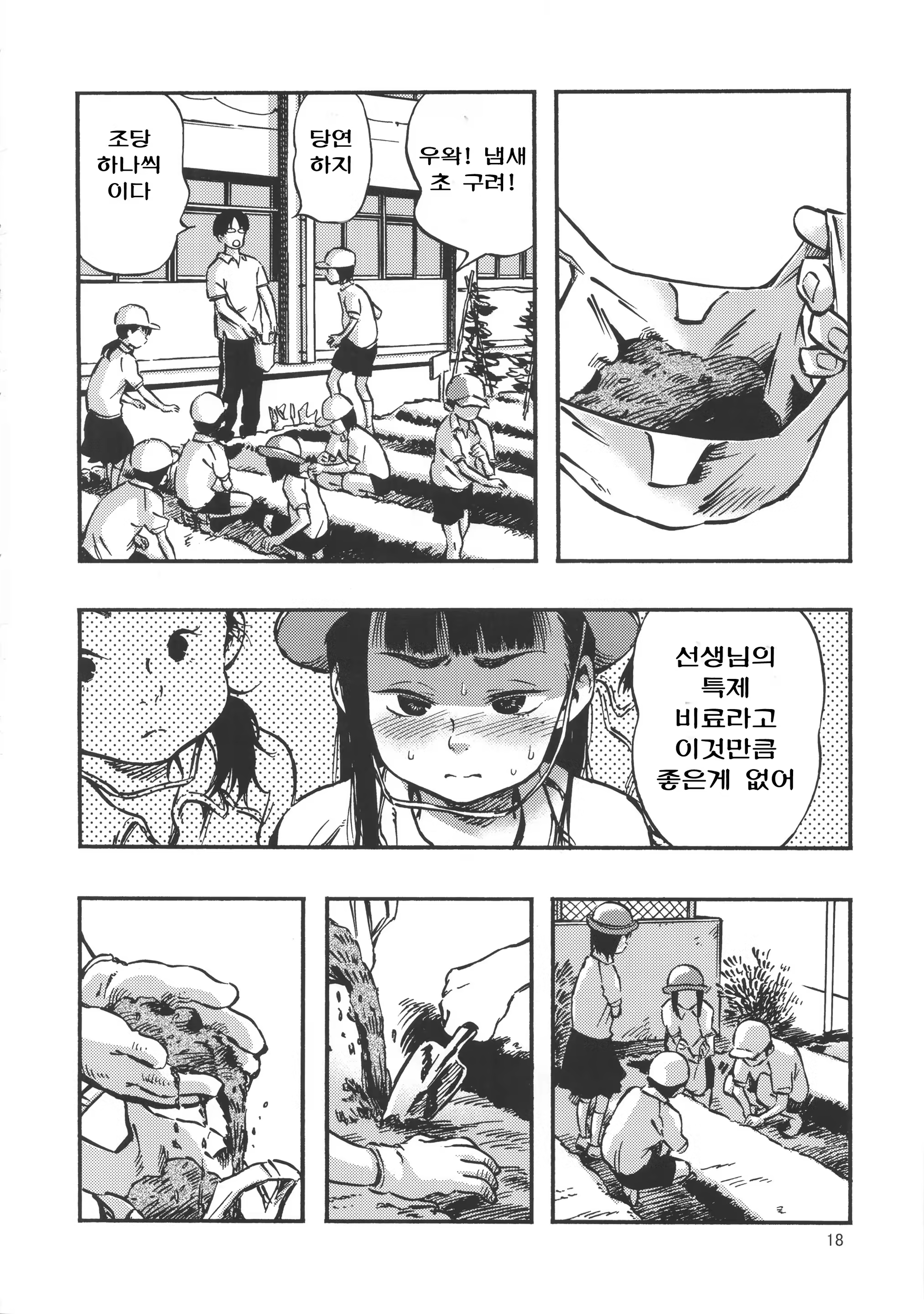 Content 959178 - 17 페이지