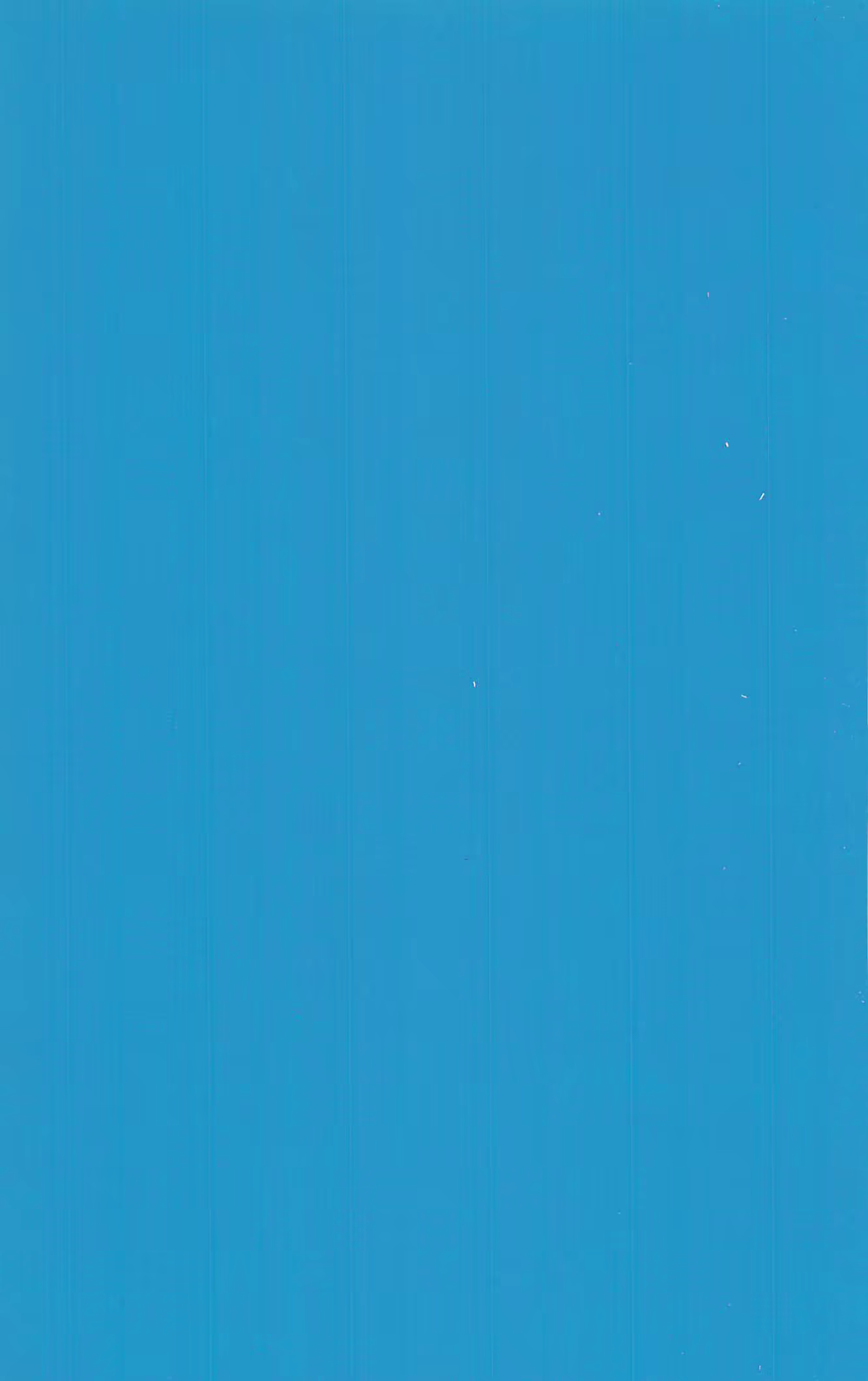 Content 962836 - 2 페이지