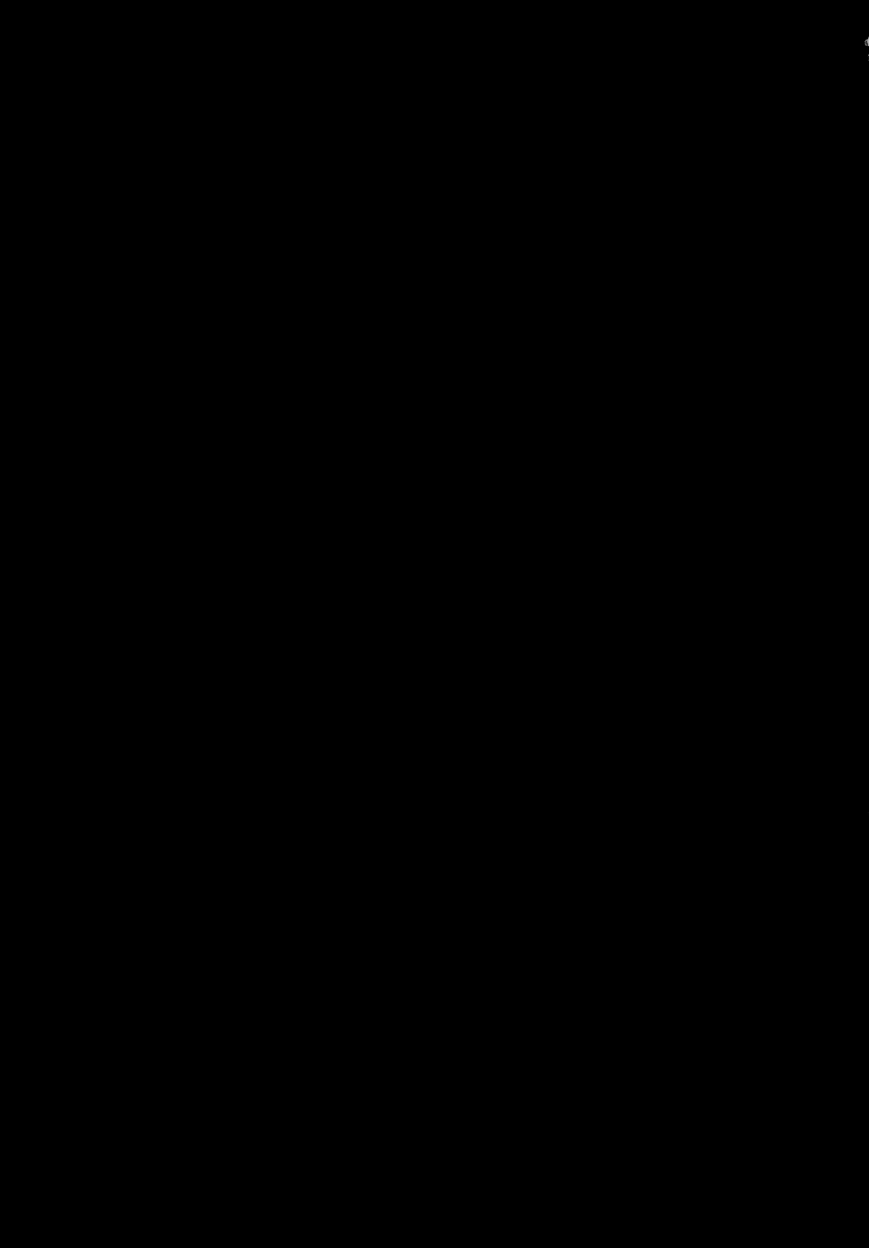 Content 966202 - 2 페이지