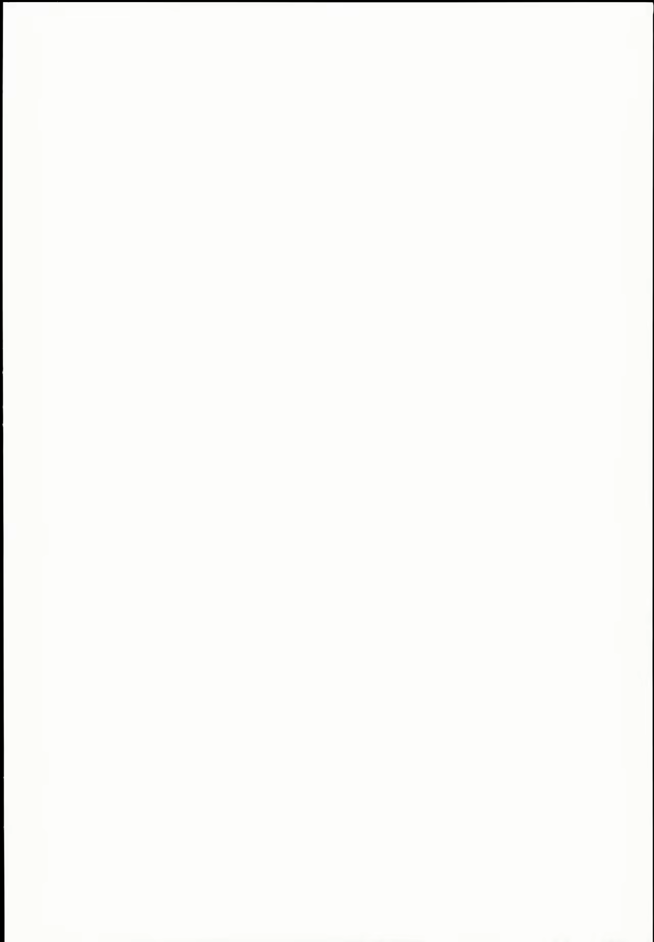 Content 966703 - 3 페이지