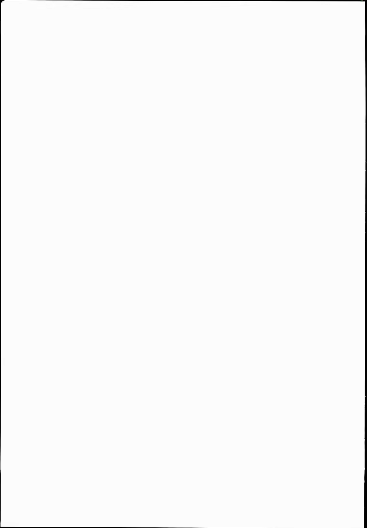 Content 966703 - 34 페이지