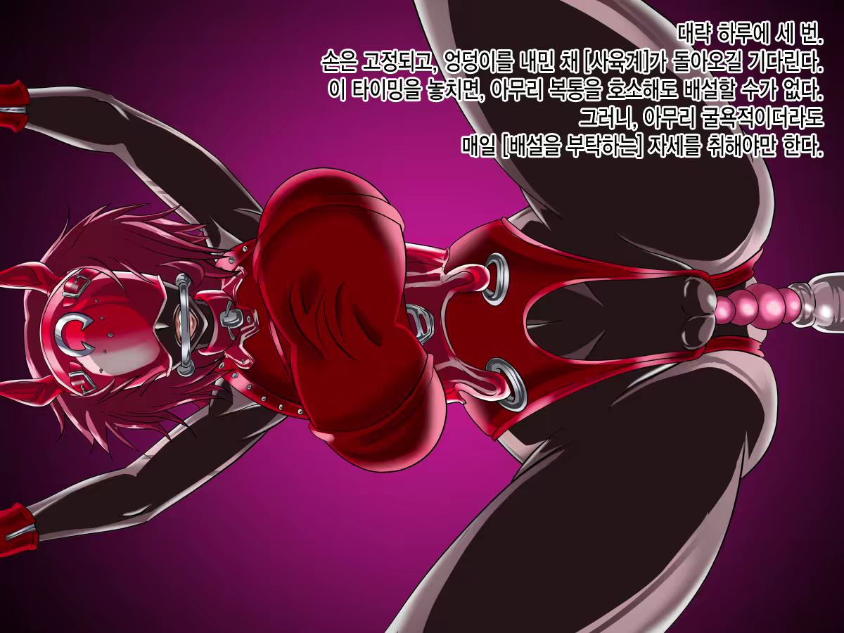 Content 966868 - 30 페이지