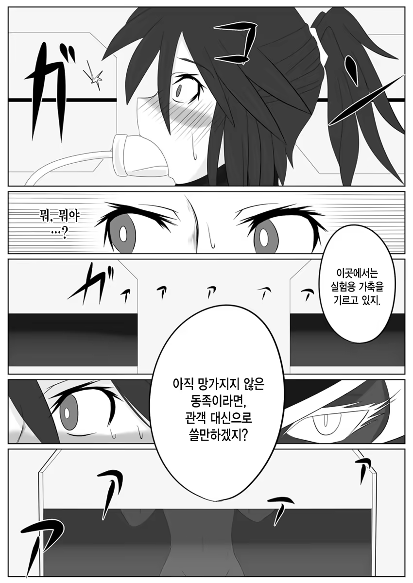 Content 967042 - 24 페이지