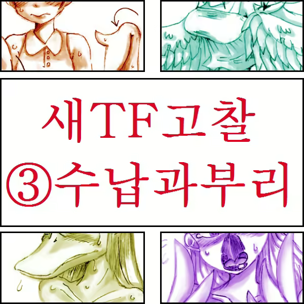 Content 967541 - 11 페이지