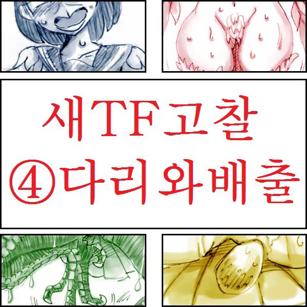 Content 967541 - 17 페이지