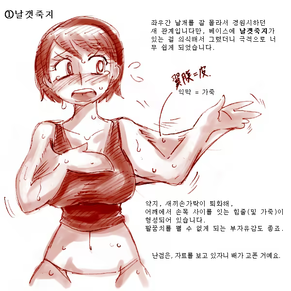 Content 967541 - 2 페이지