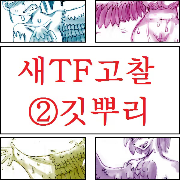 Content 967541 - 6 페이지