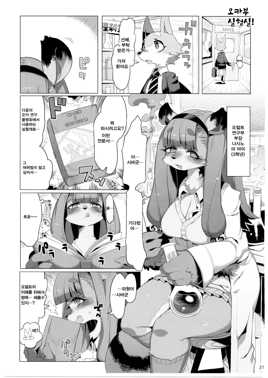 Content 970222 - 22 페이지