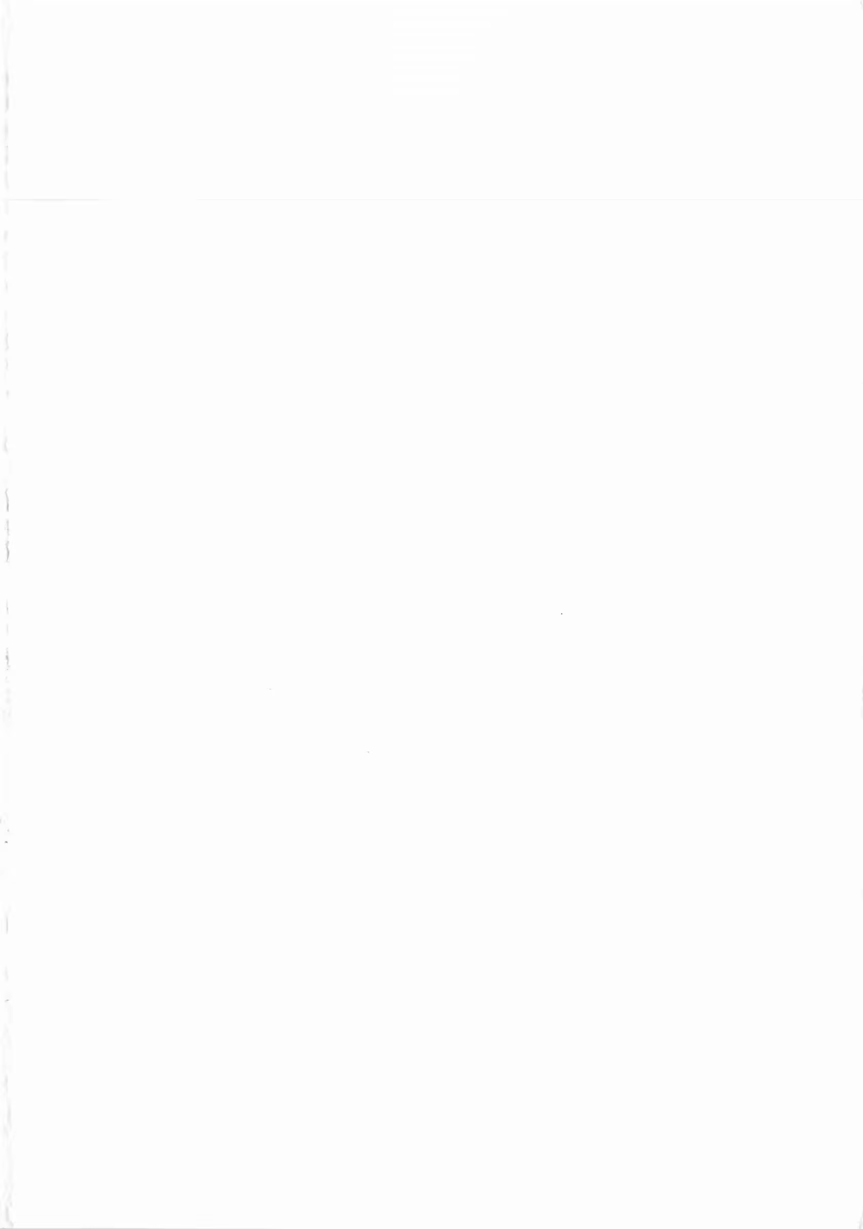 Content 970234 - 4 페이지