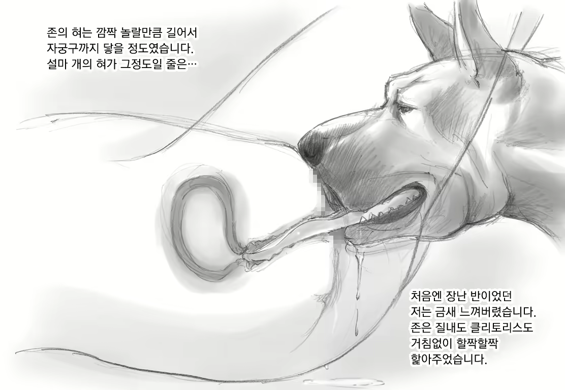 Content 974830 - 15 페이지