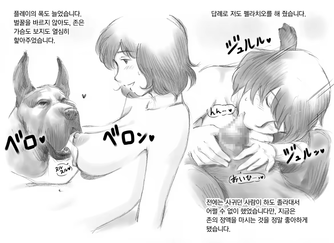 Content 974830 - 42 페이지