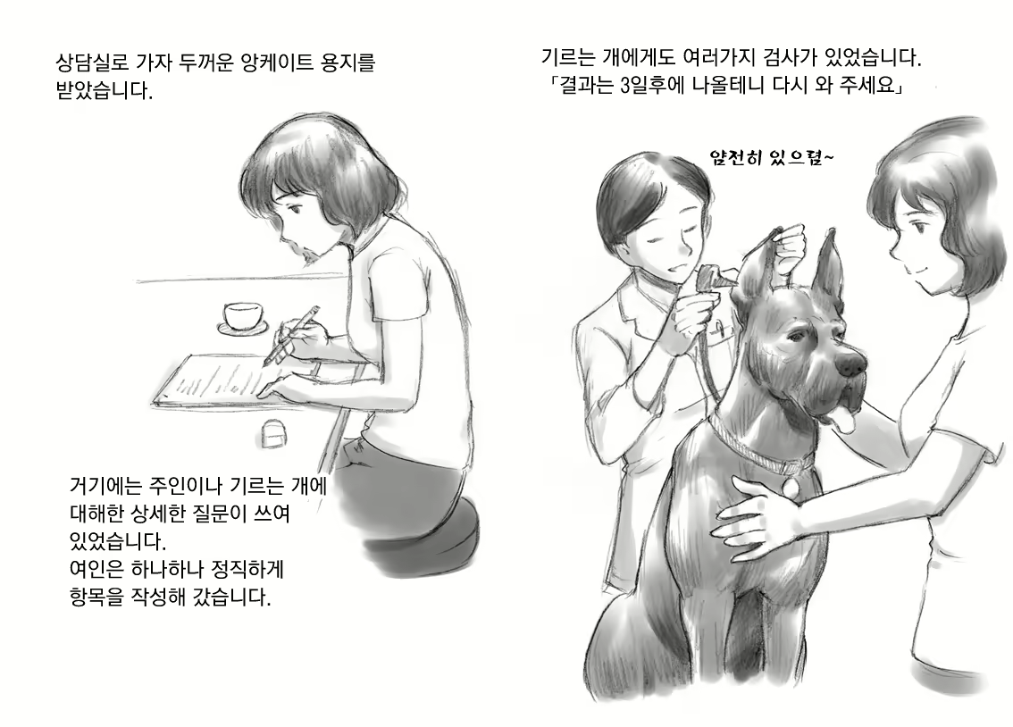 Content 974830 - 5 페이지