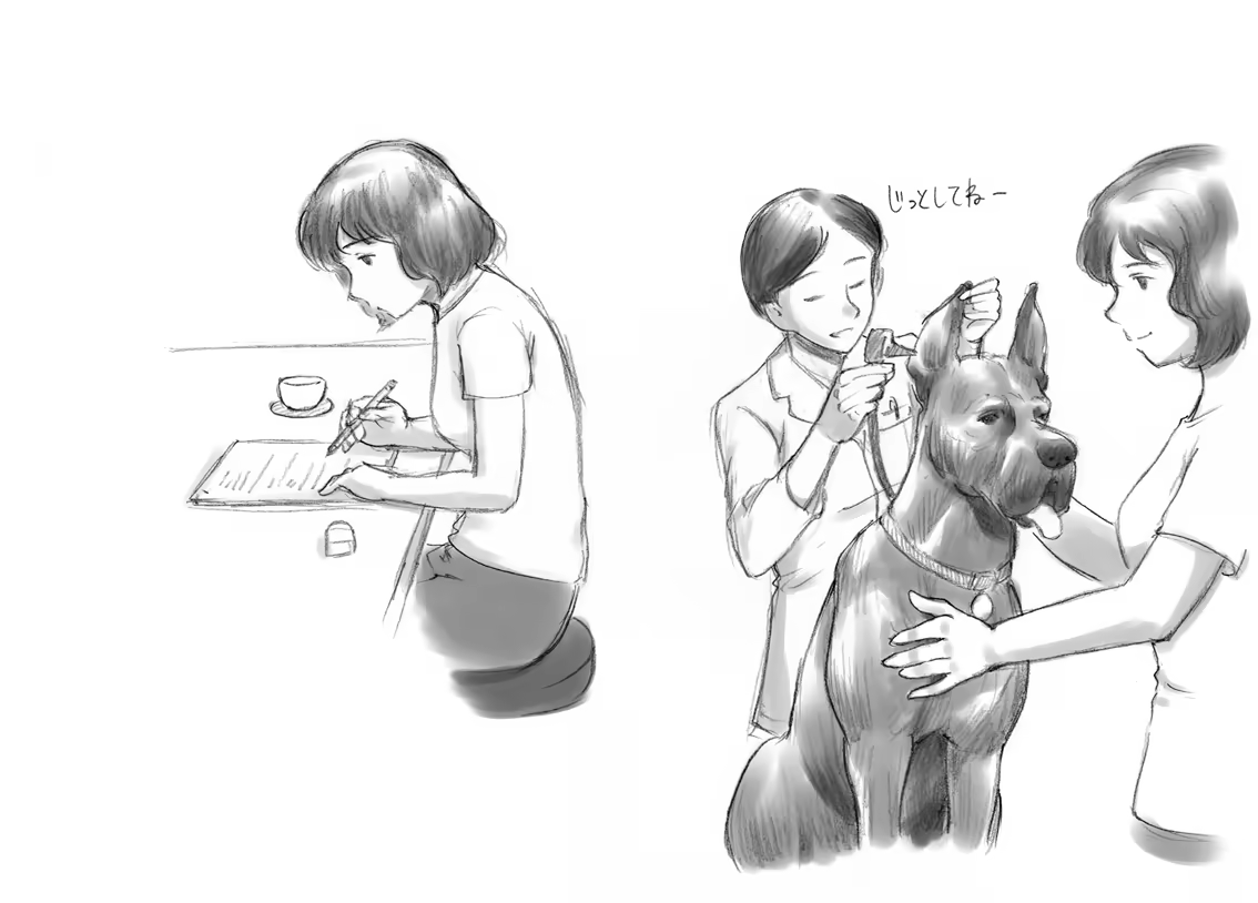 Content 974830 - 75 페이지