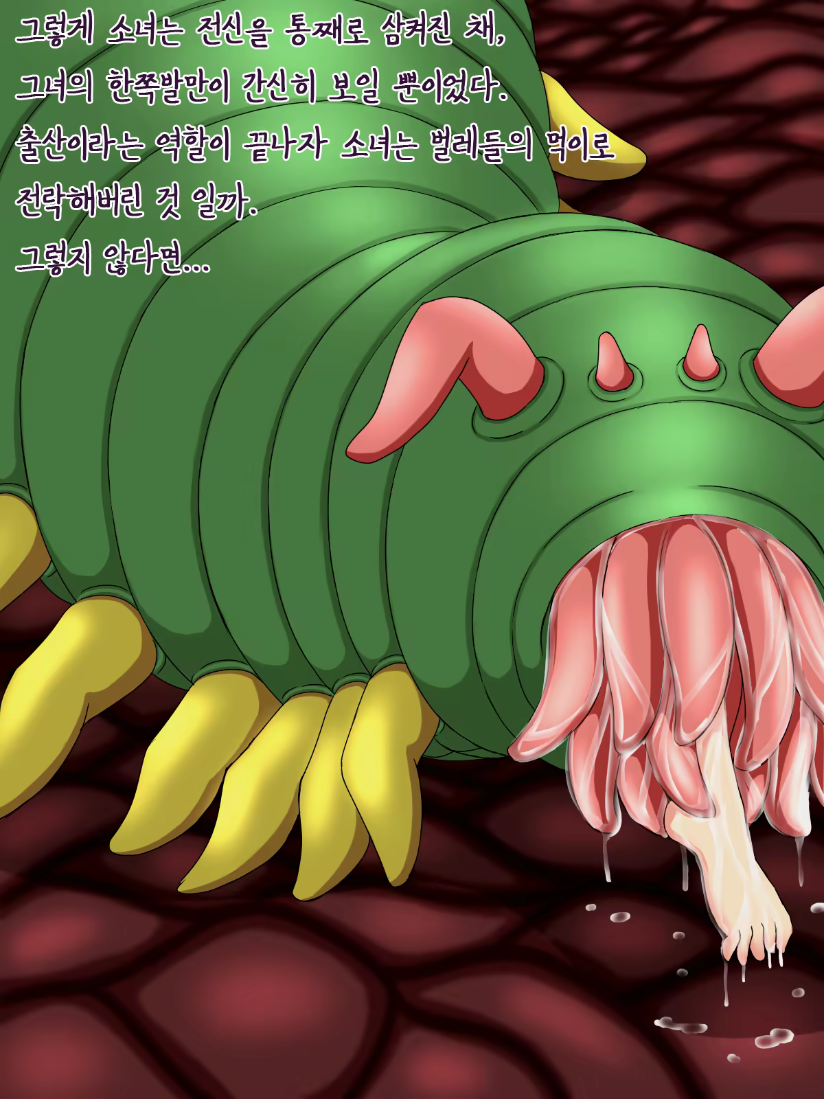 Content 984999 - 71 페이지