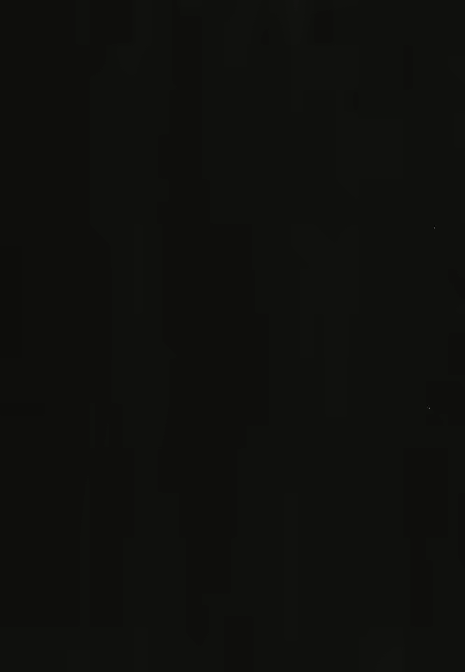 Content 986261 - 22 페이지