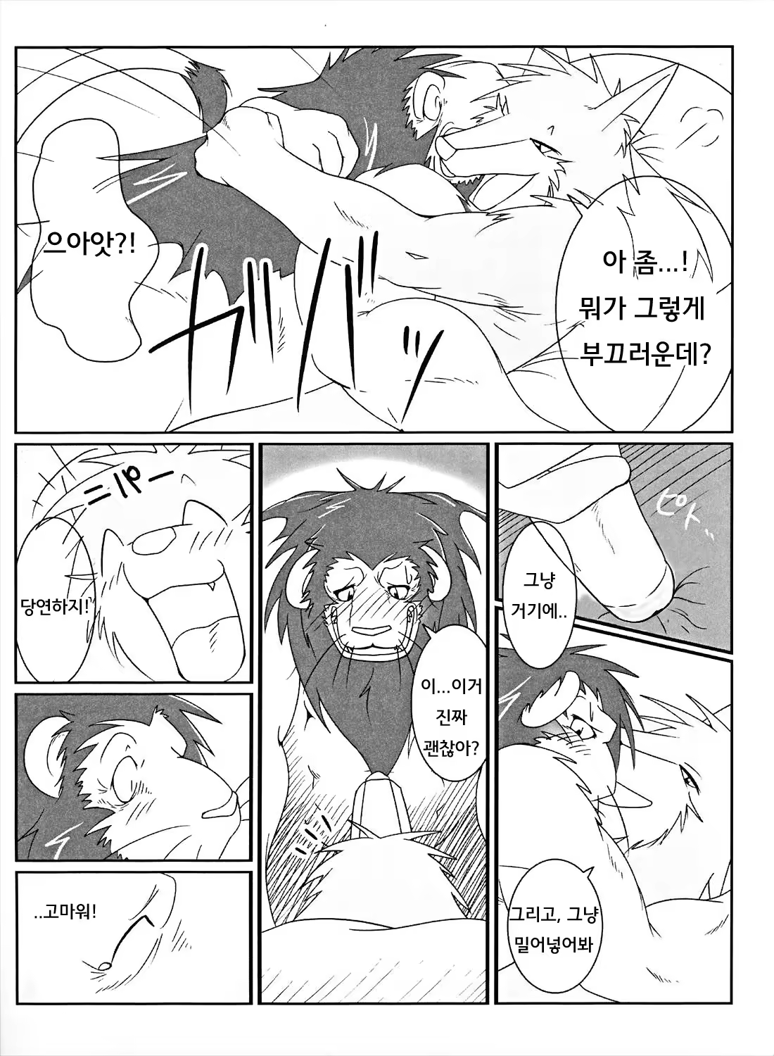Content 986588 - 15 페이지
