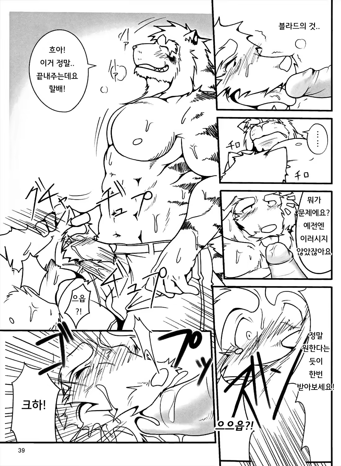 Content 986588 - 39 페이지