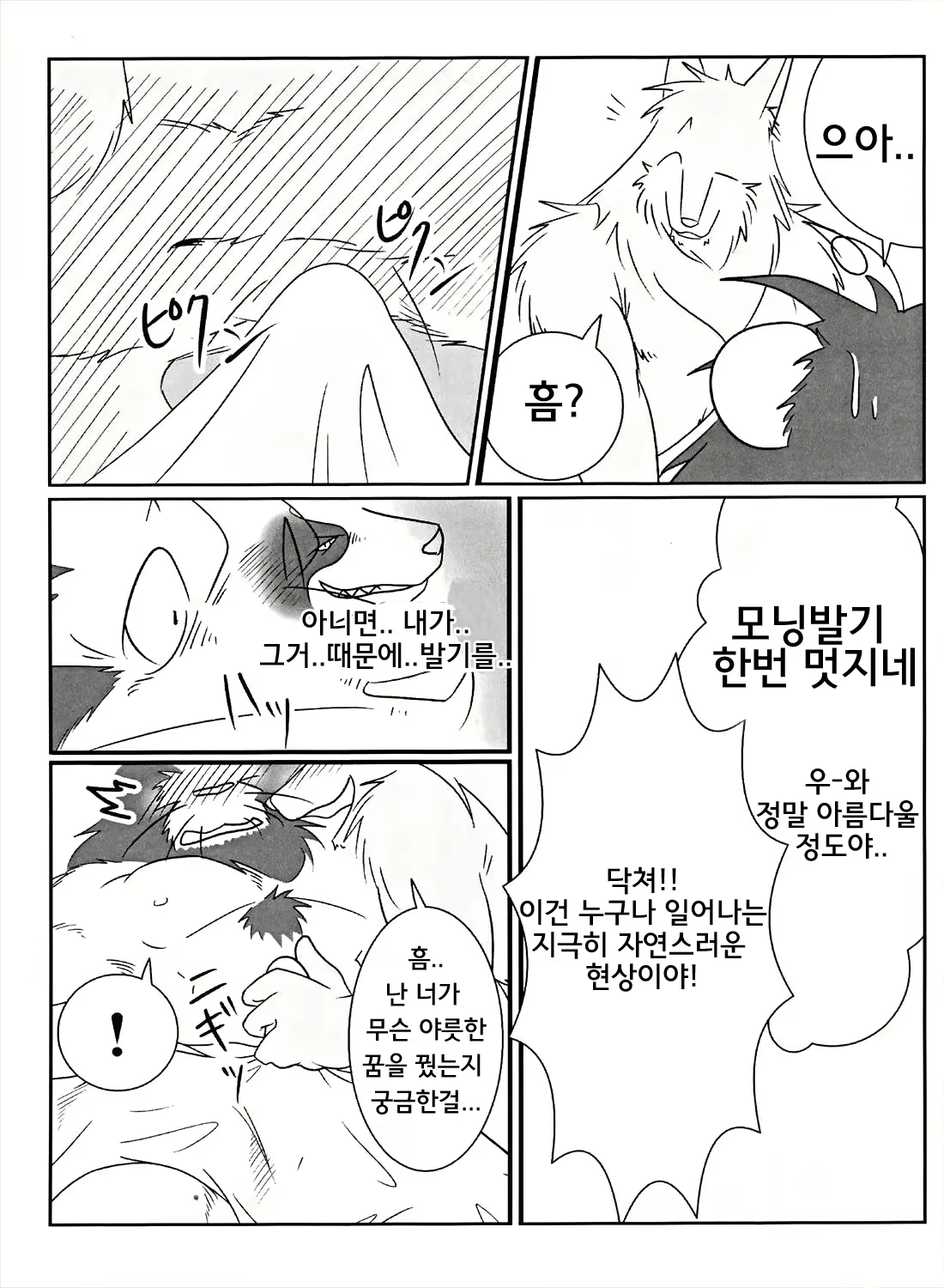 Content 986588 - 5 페이지