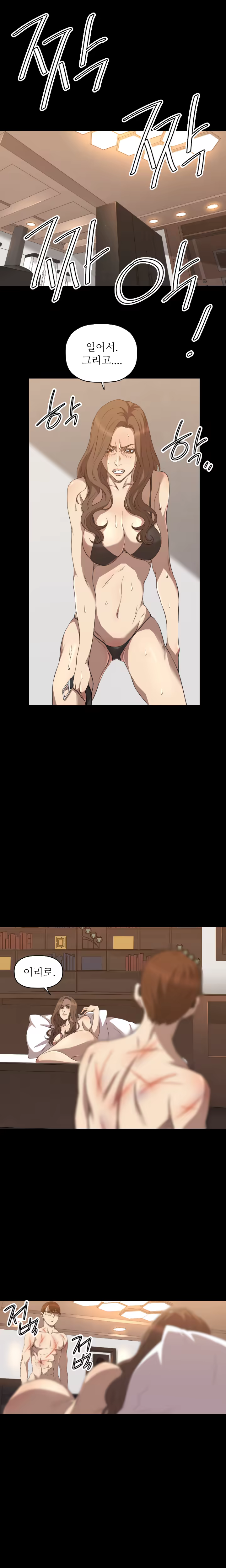 Content 989215 - 386 페이지