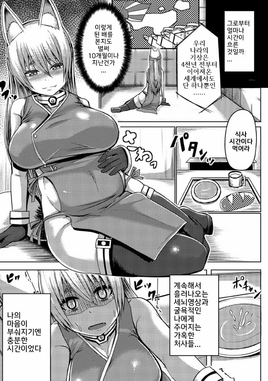 Content 995095 - 158 페이지