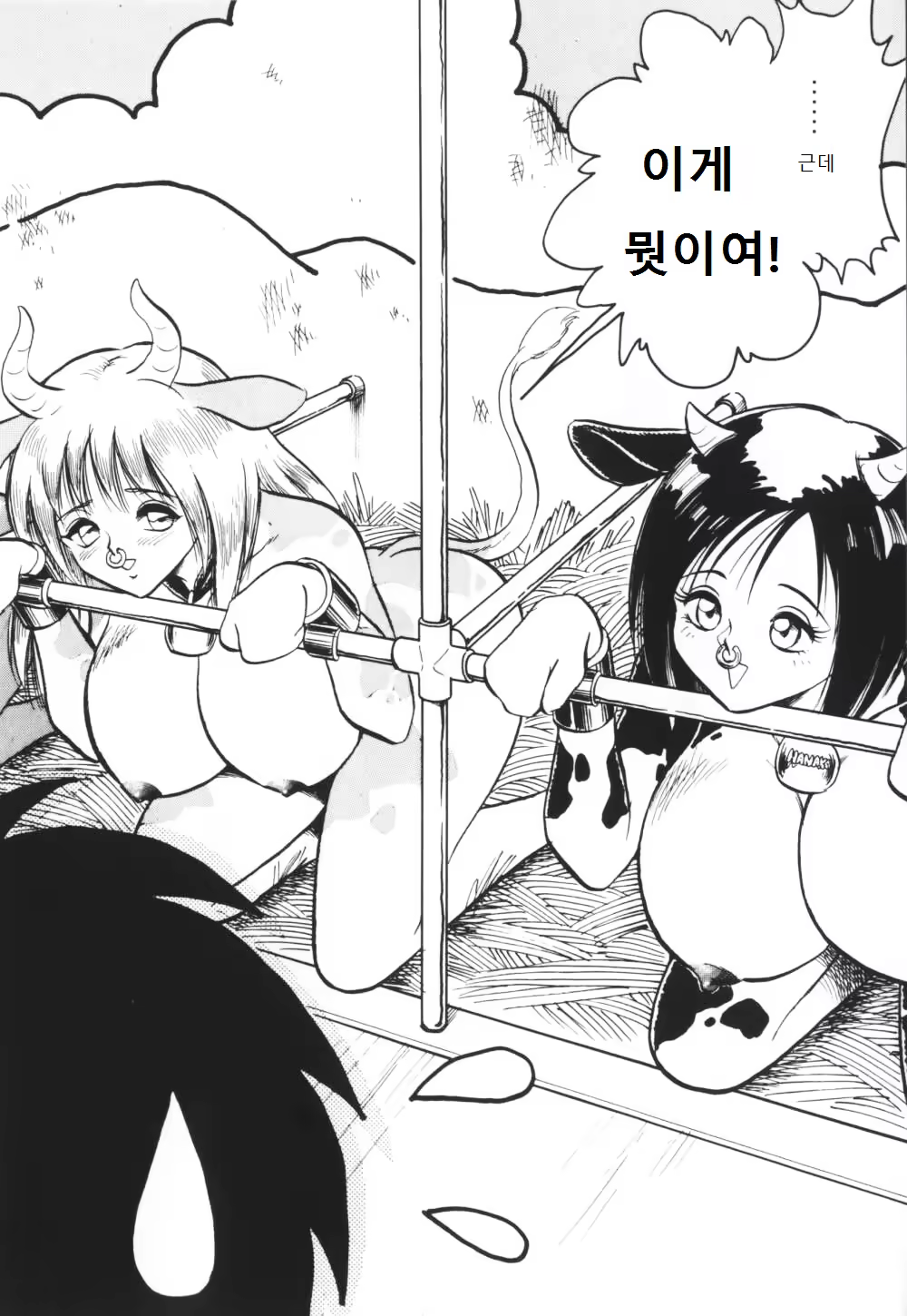 Content 995754 - 31 페이지